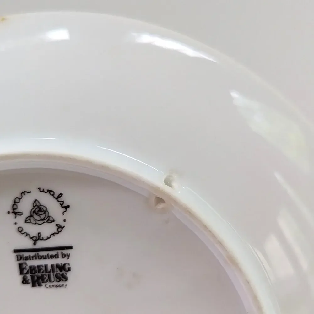 Vintage 1981 Joan Walsh Anglund “Make Each Day A Rainbow” Collectible Plate